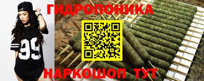 тгк Краснодар