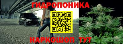 тгк Краснодар